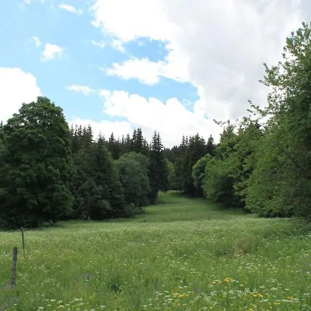Chalet Les 5 Sapins